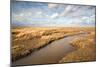 Theddlethorpe Dunes, Lincolnshire Coast, Lincolnshire, England, United Kingdom, Europe-Bill Ward-Mounted Photographic Print