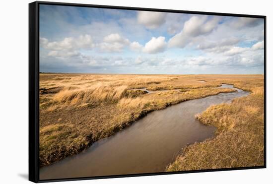 Theddlethorpe Dunes, Lincolnshire Coast, Lincolnshire, England, United Kingdom, Europe-Bill Ward-Framed Stretched Canvas