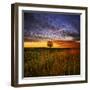 Thee Lone Tree-Adrian Campfield-Framed Photographic Print