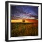 Thee Lone Tree-Adrian Campfield-Framed Photographic Print