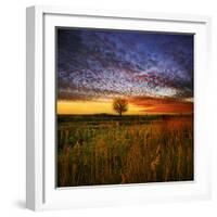 Thee Lone Tree-Adrian Campfield-Framed Photographic Print