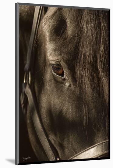 Their Eyes are the Window to their Souls-Barry Hart-Mounted Art Print