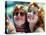 Thelma and Louise-null-Stretched Canvas