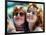 Thelma and Louise-null-Framed Photo