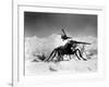 Them!, 1954-null-Framed Photo