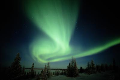 Canada, Manitoba, Wapusk National Park, Aurora Borealis