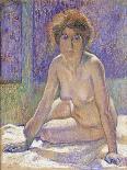 Femme Nue Assise-Theo Rysselberghe-Giclee Print