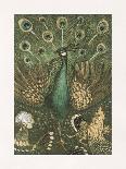 Peacock Embellishment-Theo van Hoytema-Premium Giclee Print