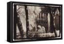 Canvas Black