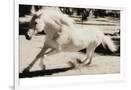 Gramercy White