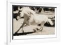 Gramercy White