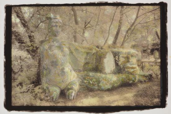 Photographic Print, , large