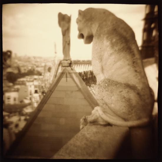 Photographic Print, , large