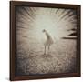 Gramercy Espresso
