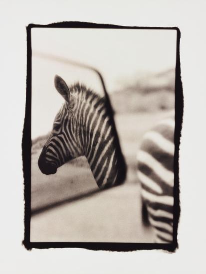 Photographic Print, , large