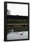 Essential Black