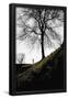 Essential Black