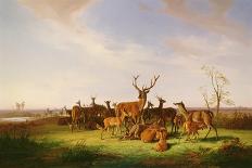 A Herd of Deer in a Sunlit Pasture-Theodor Julius Kiellerup-Giclee Print