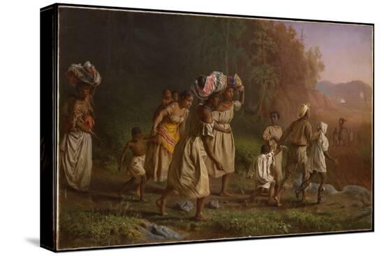 Stretched Canvas Print, , large