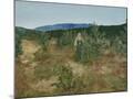 Wood Mount
