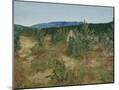 Wood Mount