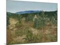Wood Mount