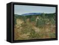 Canvas Black