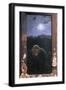 Black Frame