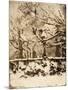 Wood Mount