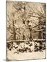 Wood Mount