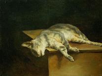 Dead cat. Oil on canvas,50 x 61 cm.-Theodore Gericault-Giclee Print