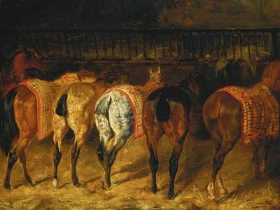 Five Horses Viewed from the Back