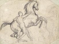Rearing Stallion Held by a Nude Man-Théodore Géricault-Giclee Print