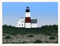 Island Lighthouse-Theodore Jeremenko-Framed Limited Edition