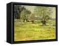 Canvas Black