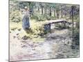 Wood Mount