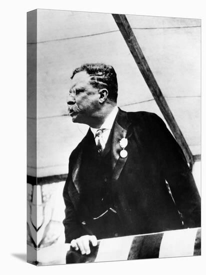 Theodore Roosevelt, 1900's-null-Stretched Canvas