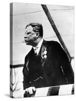 Theodore Roosevelt, 1900's-null-Stretched Canvas