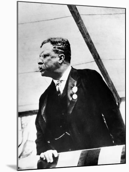 Theodore Roosevelt, 1900's-null-Mounted Photo