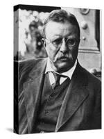 Theodore Roosevelt, 1900's-null-Stretched Canvas