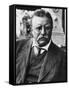 Theodore Roosevelt, 1900's-null-Framed Stretched Canvas