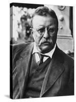 Theodore Roosevelt, 1900's-null-Stretched Canvas