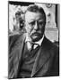 Theodore Roosevelt, 1900's-null-Mounted Photo