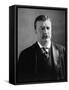 Theodore Roosevelt, 1902 Bust Portrait, with Unusual Soft and Reflective Expression-null-Framed Stretched Canvas