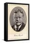 Theodore Roosevelt, 26th President of the United States-Gordon Ross-Framed Stretched Canvas