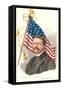 Theodore Roosevelt and Flag-null-Framed Stretched Canvas