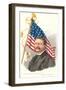 Theodore Roosevelt and Flag-null-Framed Art Print