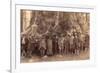 Theodore Roosevelt and His Distinguished Party-null-Framed Premium Giclee Print