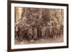 Theodore Roosevelt and His Distinguished Party-null-Framed Premium Giclee Print