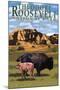 Theodore Roosevelt National Park - Medora, North Dakota - Bison and Calf-Lantern Press-Mounted Art Print
